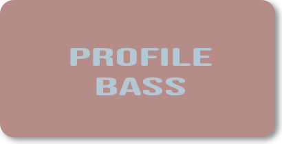 Profile Bass link